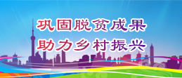 鞏固脫貧成果  助力鄉村振興